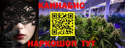 гашик Ливны