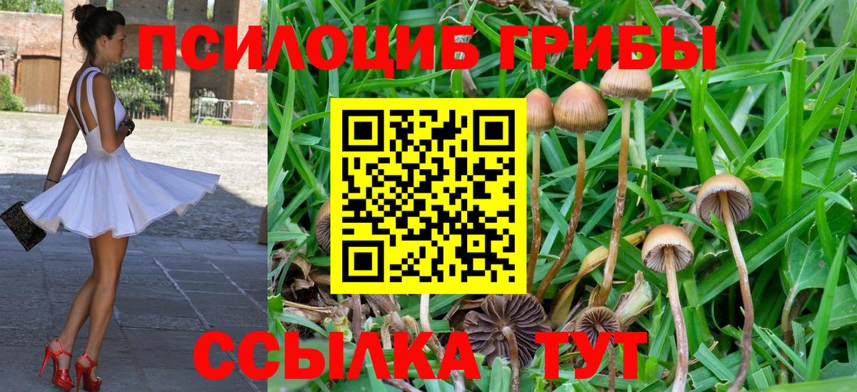 Псилоцибиновые грибы Cubensis  Галлюциногенные грибы Psilocybe  Вход с VPN  Чистополь 