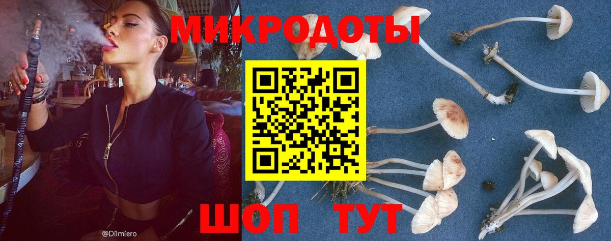 Псилоцибиновые грибы прущие грибы Чистополь